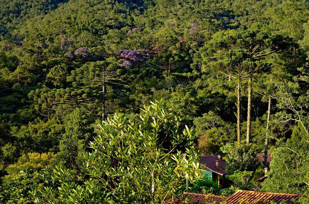 Pousada Das Araucarias Hotel Visconde De Maua Bagian luar foto