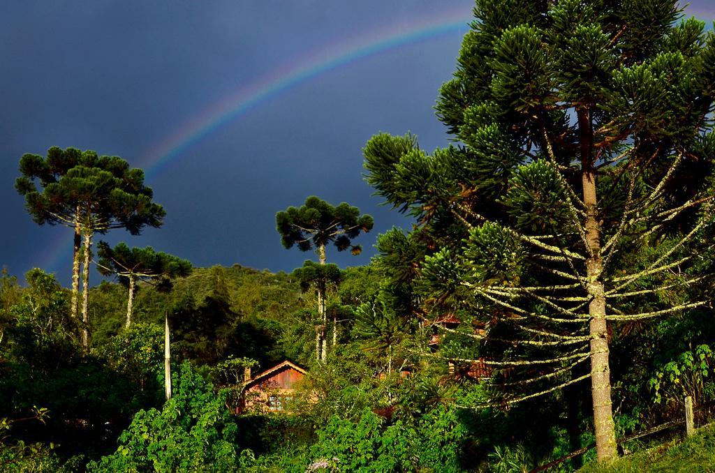 Pousada Das Araucarias Hotel Visconde De Maua Bagian luar foto