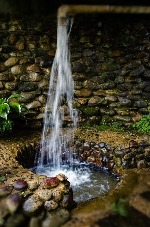 Pousada Das Araucarias Hotel Visconde De Maua Bagian luar foto